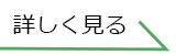 くわしく見るボタン１