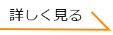 くわしく見るボタン３